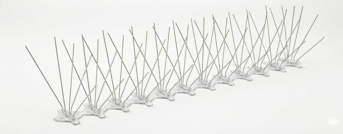Stainless steel bird spike strip with polycarbonate base, showing the 5-pin fan pattern.